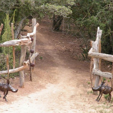הוילה Addo Dung Beetle Guest Farm מראה חיצוני תמונה