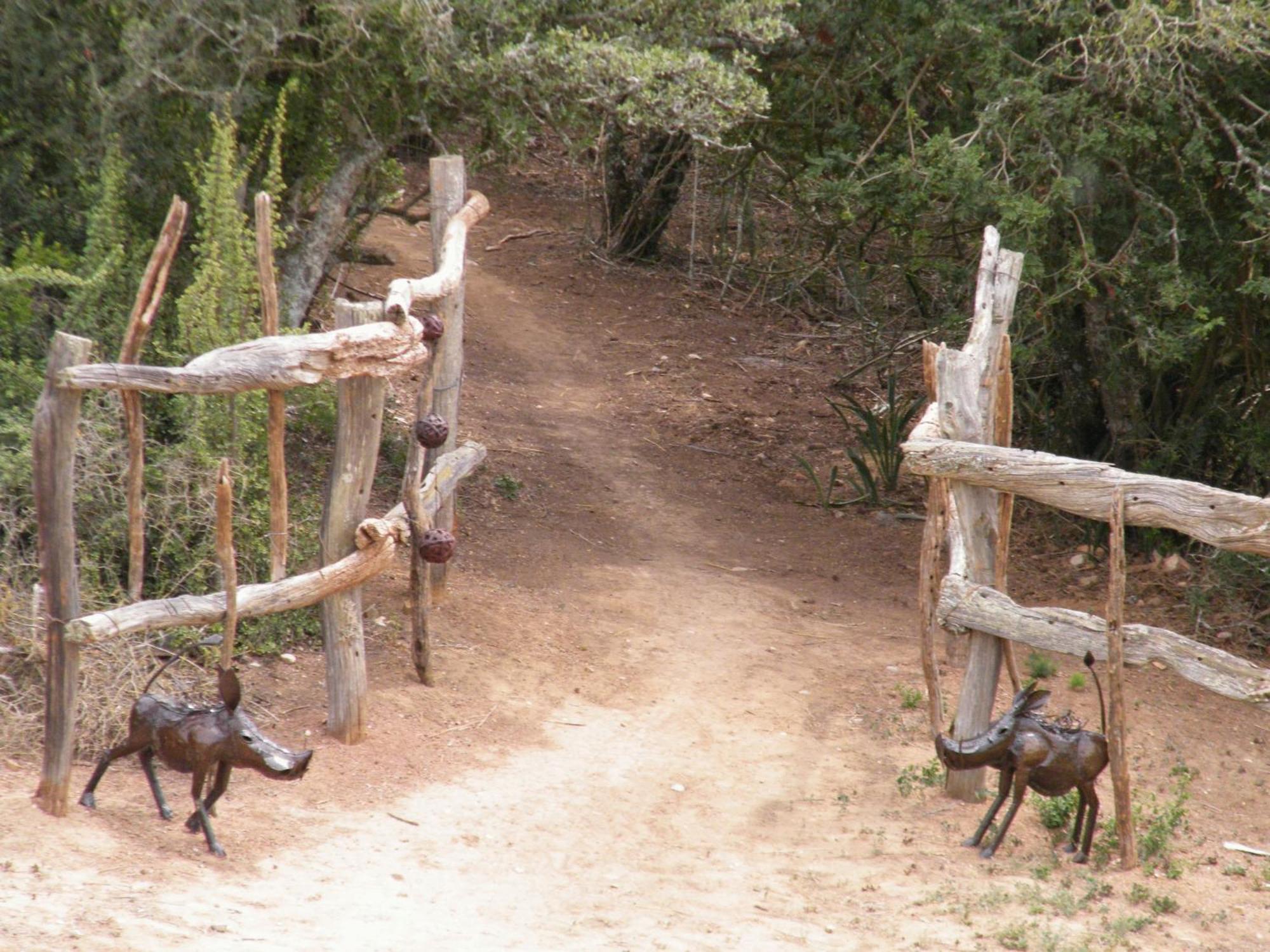 הוילה Addo Dung Beetle Guest Farm מראה חיצוני תמונה