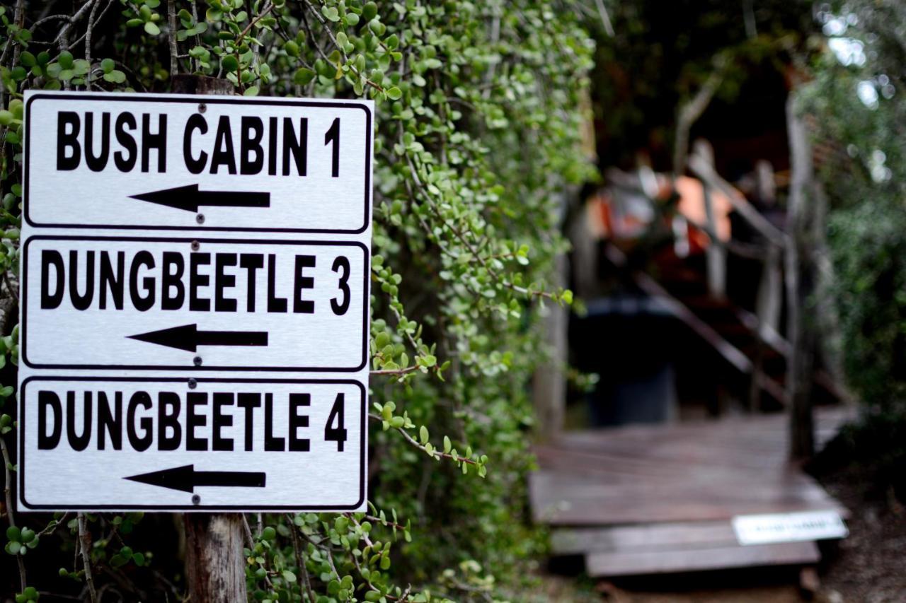 הוילה Addo Dung Beetle Guest Farm מראה חיצוני תמונה